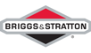 Briggs & Stratton